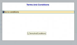 Terms And conditions Screen.jpg