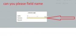field name.jpg