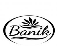 anjan banik